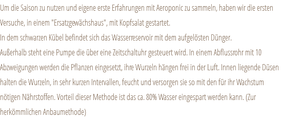 Um die Saison zu nutzen und eigene erste Erfahrungen mit Aeroponic zu sammeln, haben wir die ersten Versuche, in einem "Ersatzgewächshaus", mit Kopfsalat gestartet. In dem schwarzen Kübel befindet sich das Wasserreservoir mit dem aufgelösten Dünger. Außerhalb steht eine Pumpe die über eine Zeitschaltuhr gesteuert wird. In einem Abflussrohr mit 10 Abzweigungen werden die Pflanzen eingesetzt, ihre Wurzeln hängen frei in der Luft. Innen liegende Düsen halten die Wurzeln, in sehr kurzen Intervallen, feucht und versorgen sie so mit den für ihr Wachstum nötigen Nährstoffen. Vorteil dieser Methode ist das ca. 80% Wasser eingespart werden kann. (Zur herkömmlichen Anbaumethode)